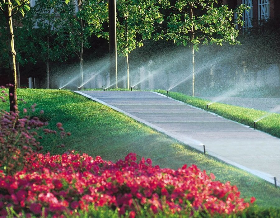 Three Ways Professional Irrigation Installation Saves You Money