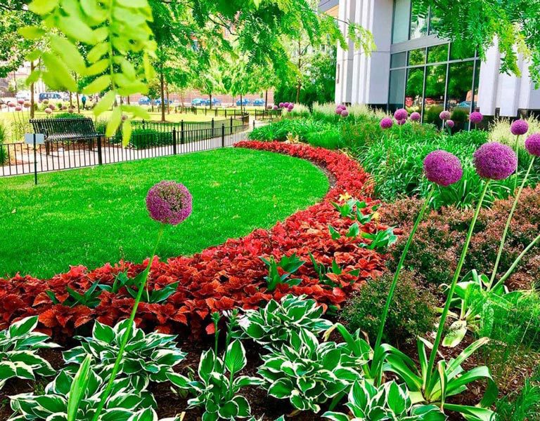 Why Commercial Landscape Maintenance Is So Essential