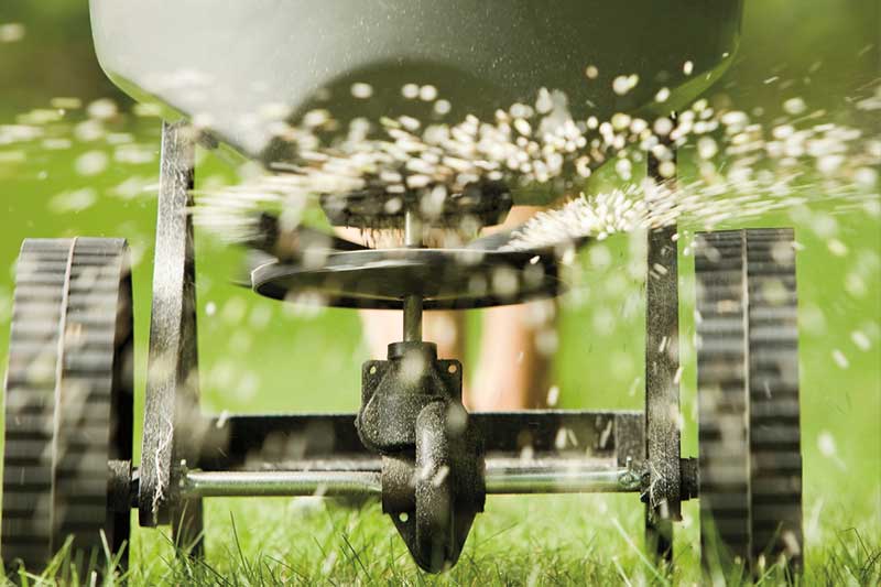 Four Essential Lawn Care Services for the Fall
