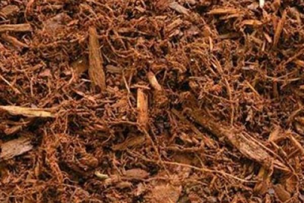 Natural Pine (Brown)