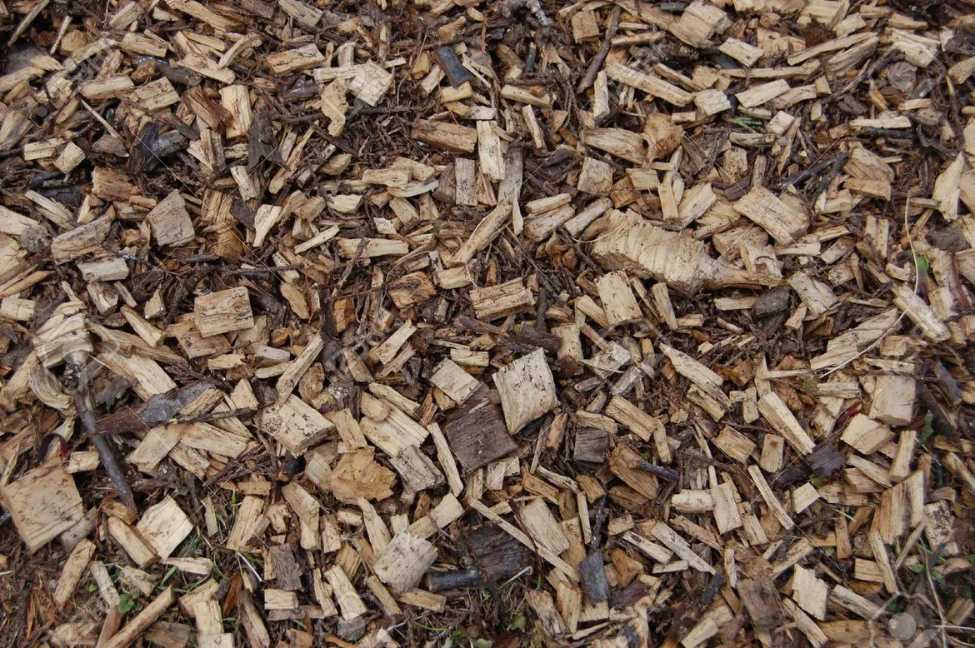 wood-chips.jpg