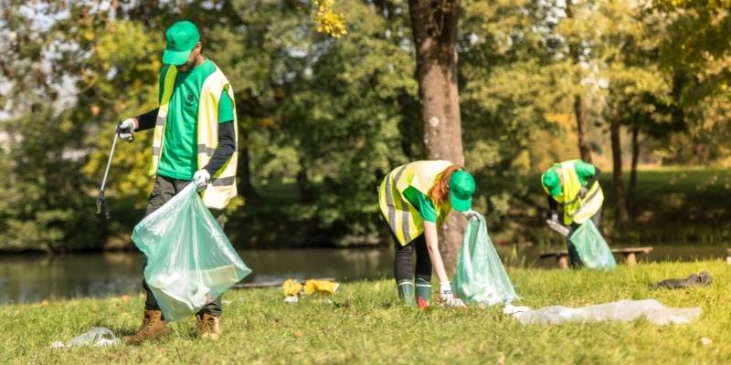 Park clean-up
