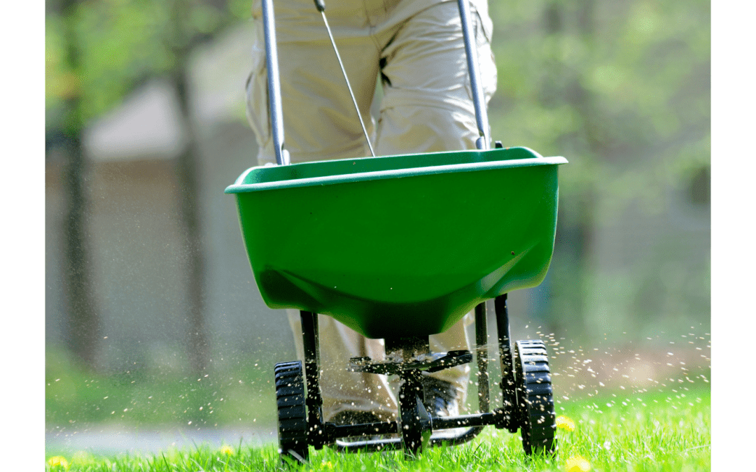 Spring Lawn Prep Checklist for NH Homeowners