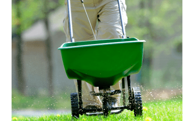 Spring Lawn Prep Checklist for NH Homeowners